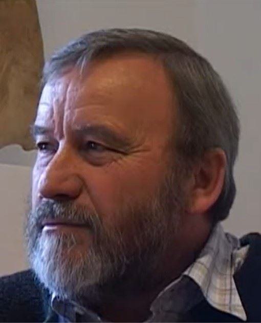 Albert Scholz