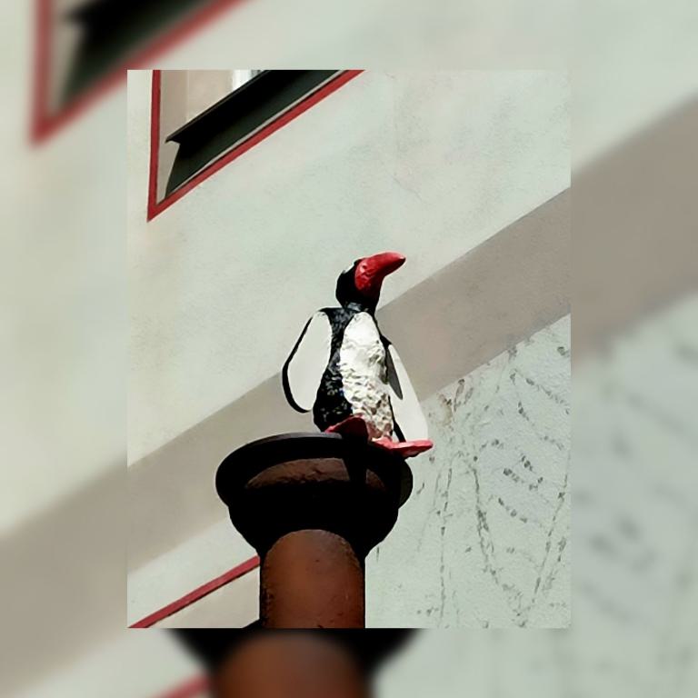 Der Pinguin auf der Säule von Wigg Bäuml