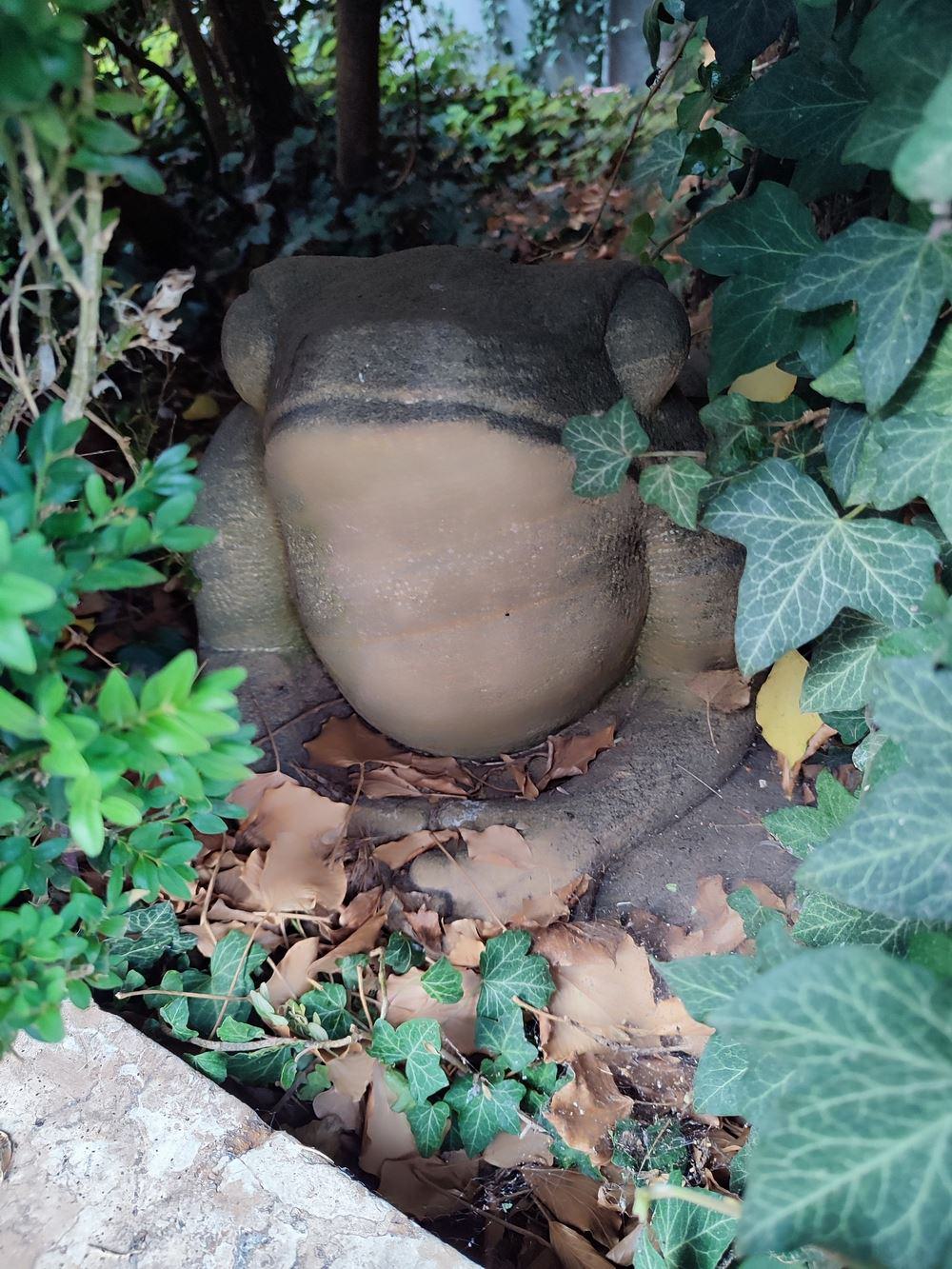 Frosch